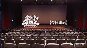 院线电影,探寻院线电影的魅力与故事