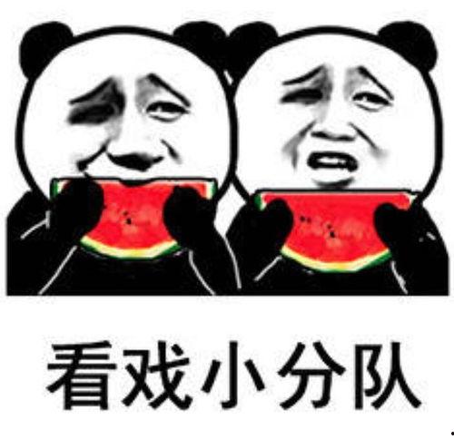 吃瓜表情高情商回复句子,轻松应对社交场合