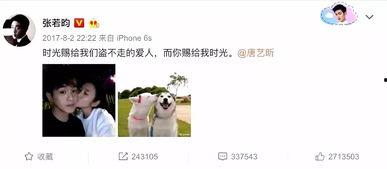 娱乐吃瓜君郑爽